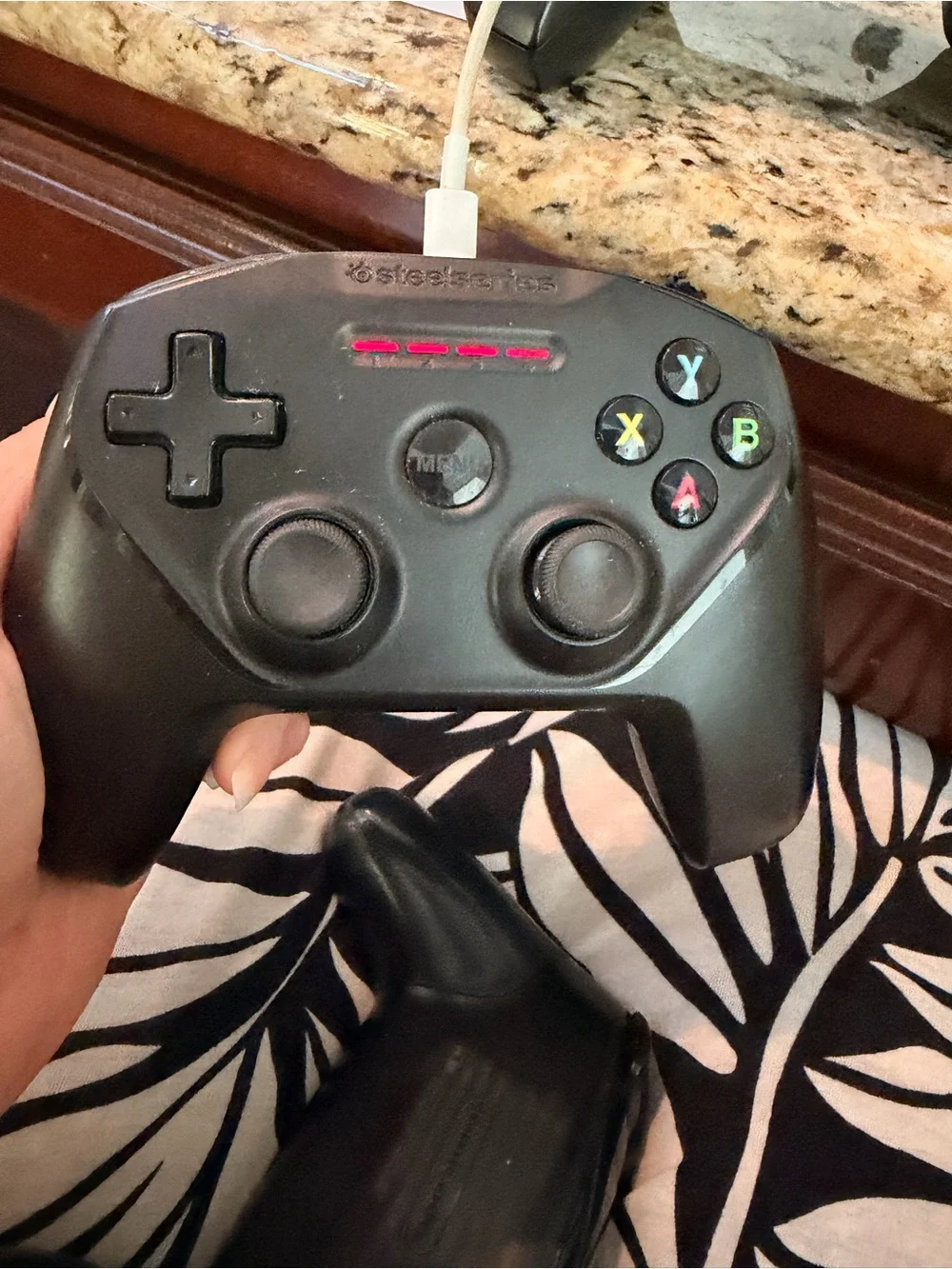 2 steel nimbus controllers and 1 Nintendo switch pro controller